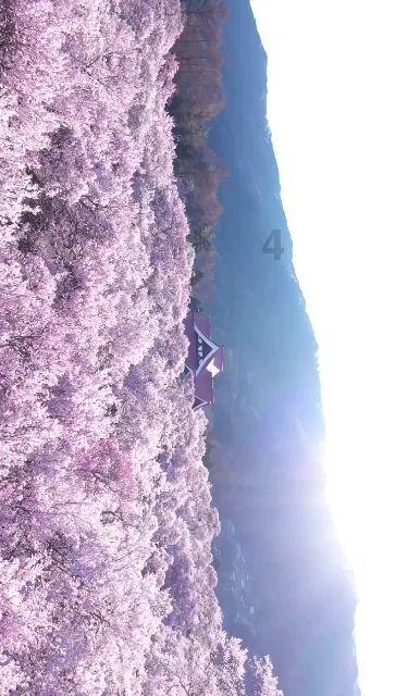 逃离狂热地带